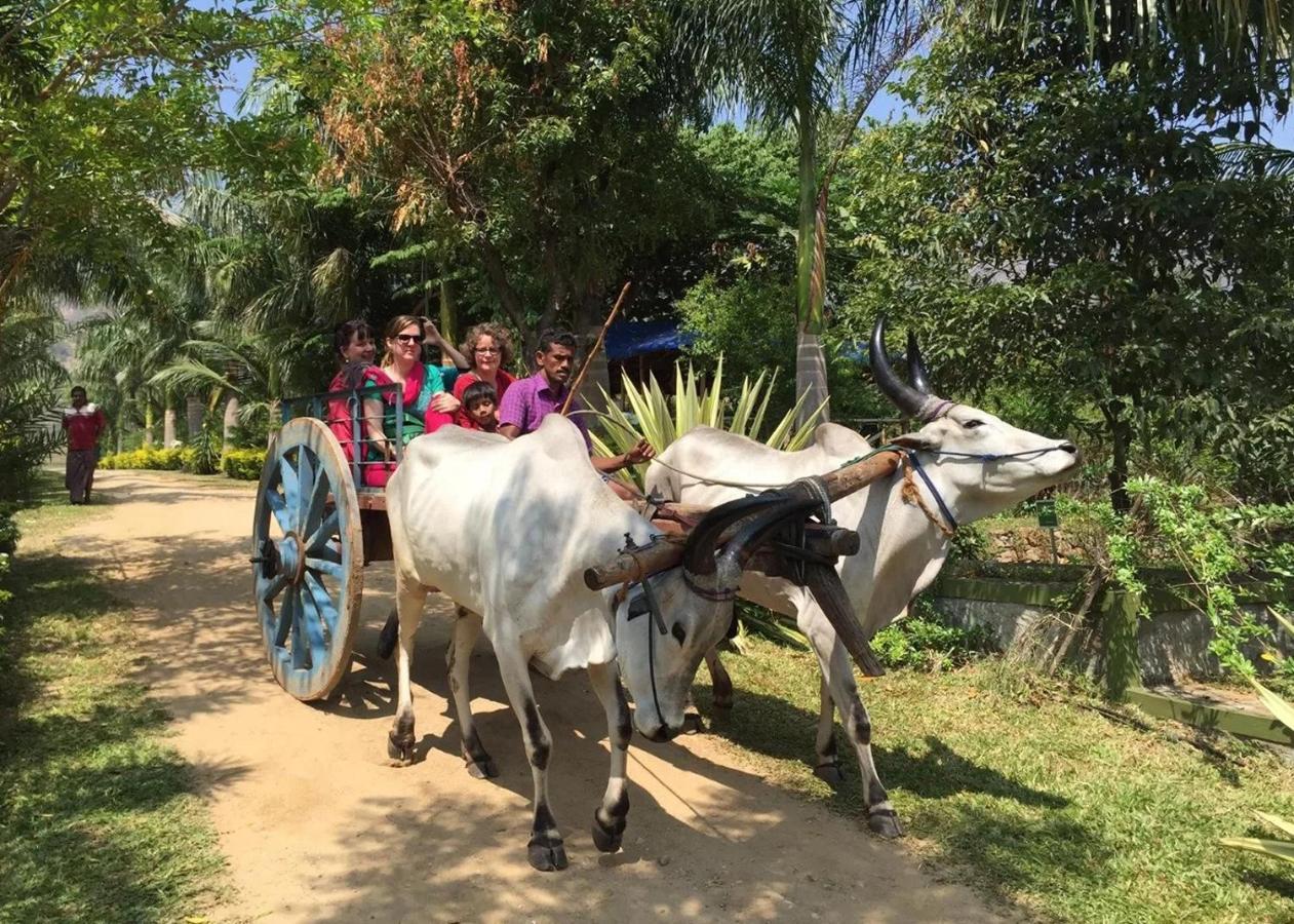 מלון Sanctuary Chitwan National Park מראה חיצוני תמונה