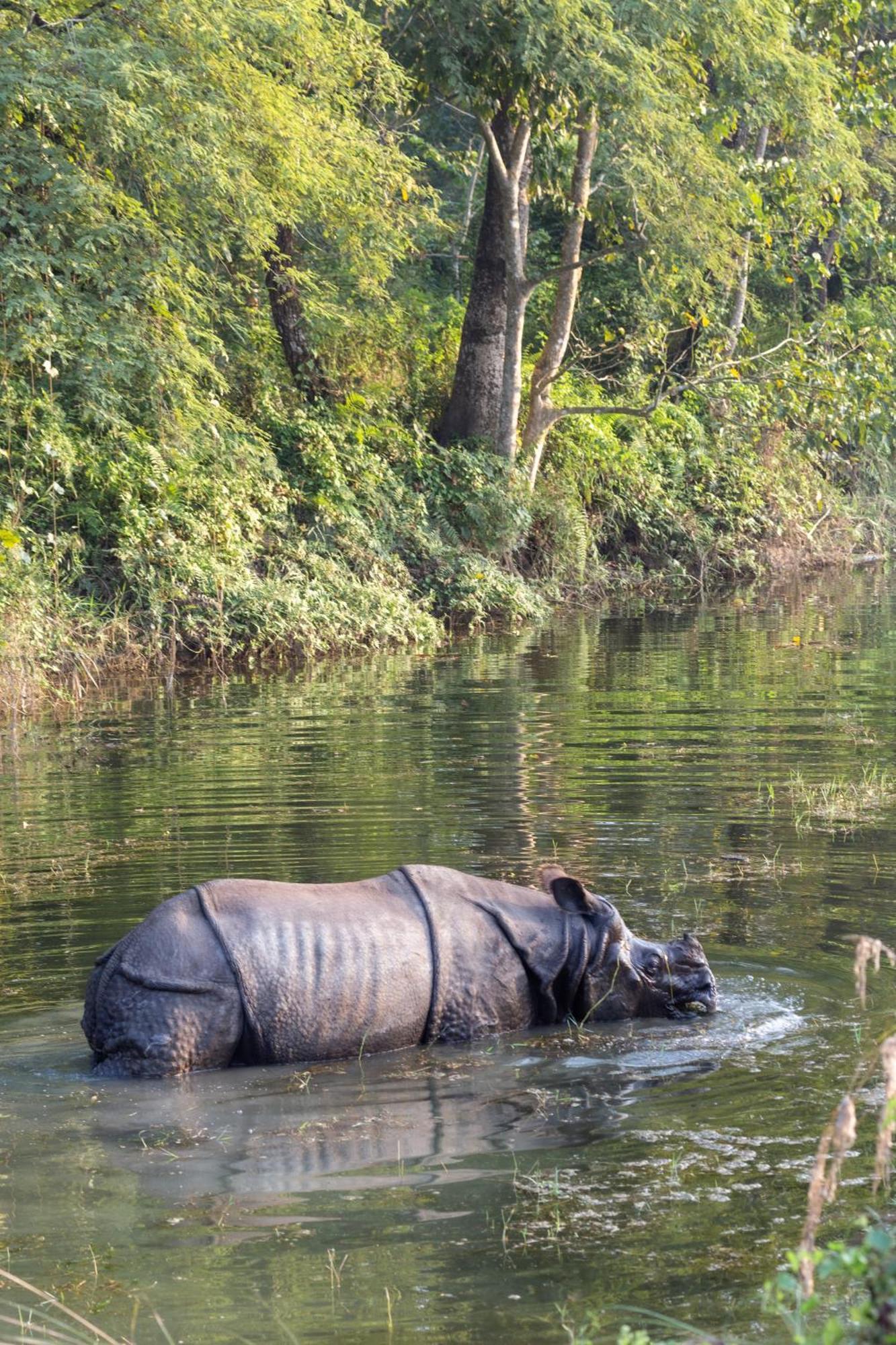 מלון Sanctuary Chitwan National Park מראה חיצוני תמונה